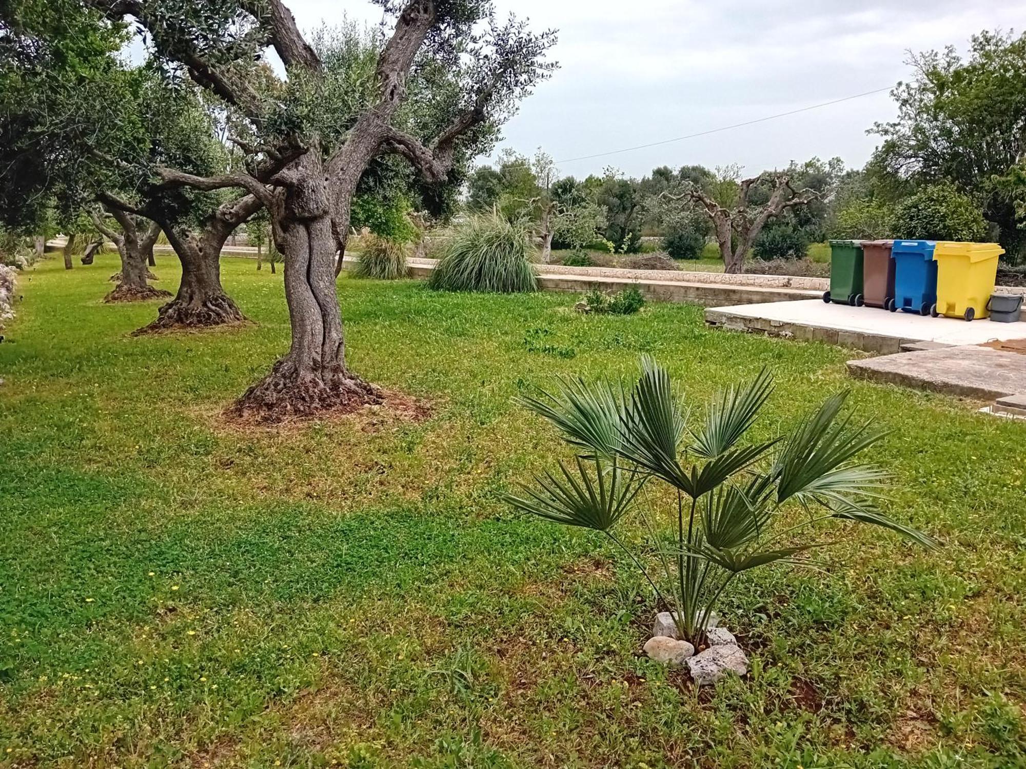 Villa Il Leccio Cisternino Esterno foto