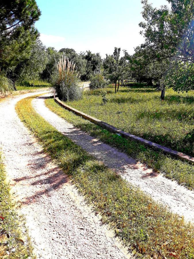 Villa Il Leccio Cisternino Esterno foto